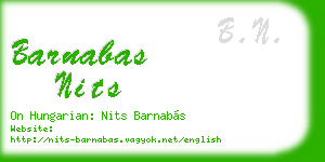 barnabas nits business card