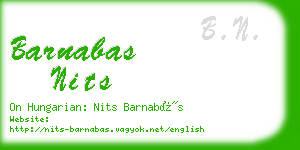 barnabas nits business card